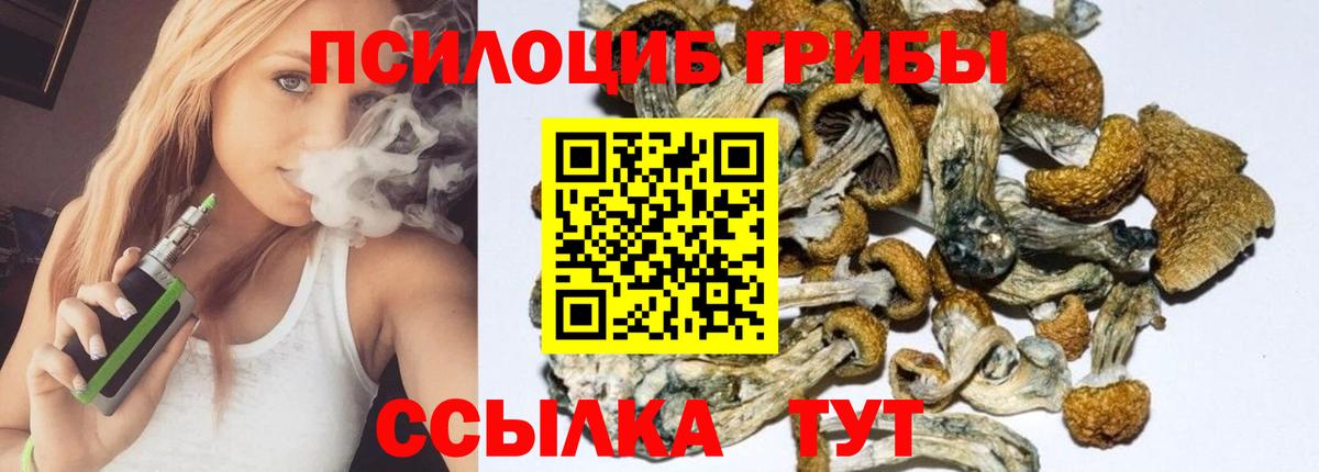 Галлюциногенные грибы Psilocybe  Галлюциногенные грибы мухоморы  Вход с VPN  Якутск 